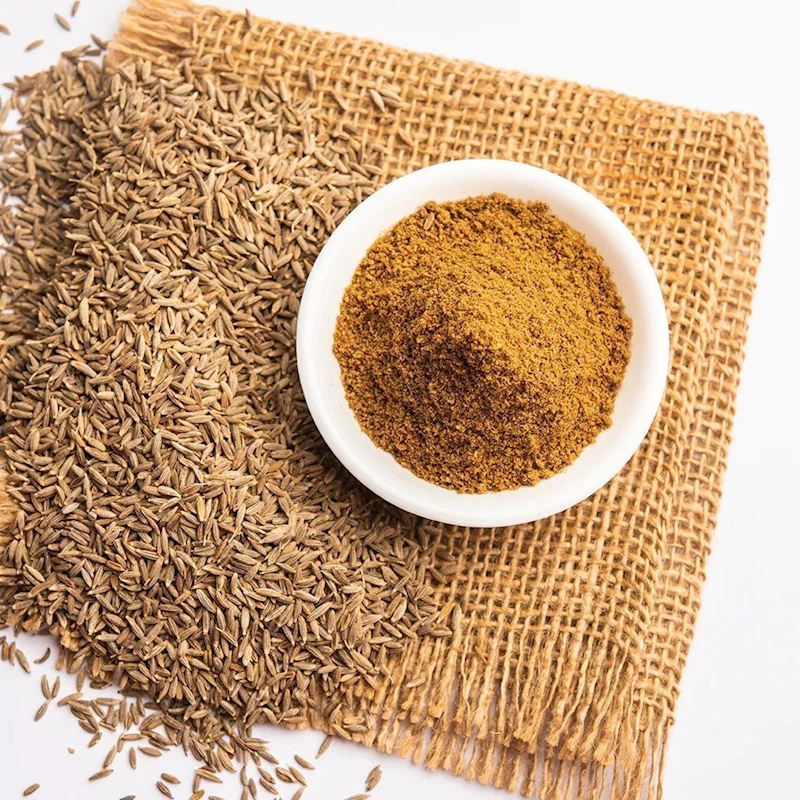 Cumin Powder - 100 g