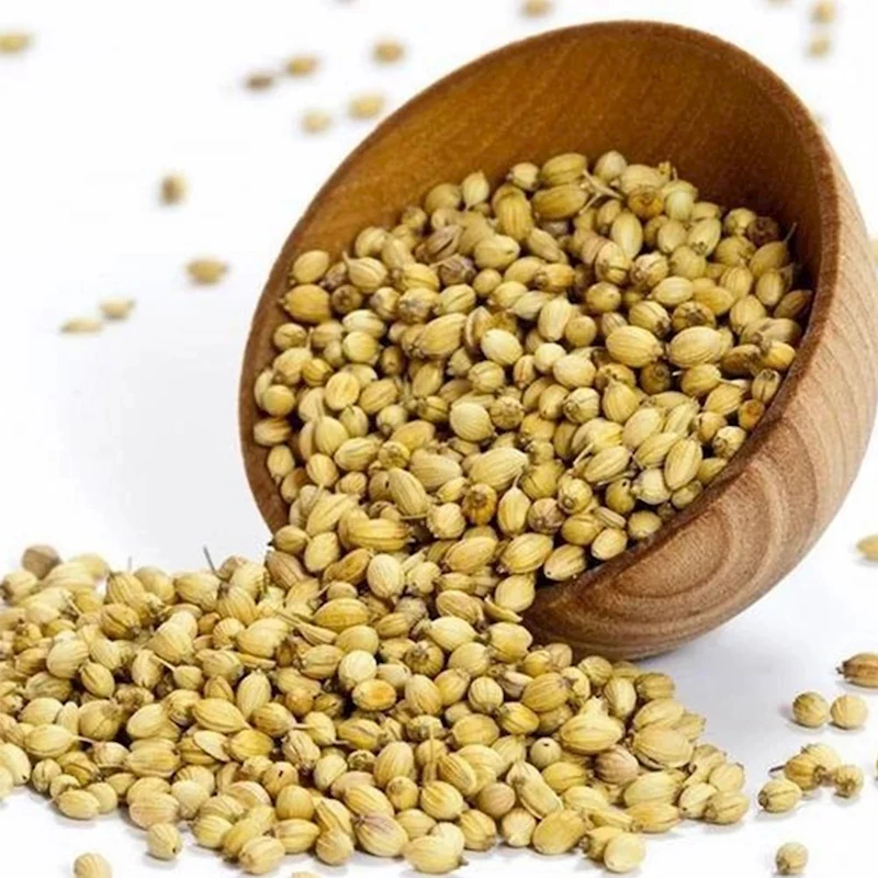 Coriander Seeds - 200 g