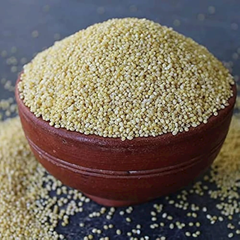 Little Millet - Samai - 500 g