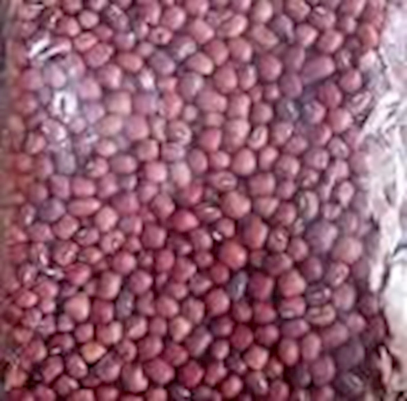 Lobia - Red  - (Karamani) - 500 g
