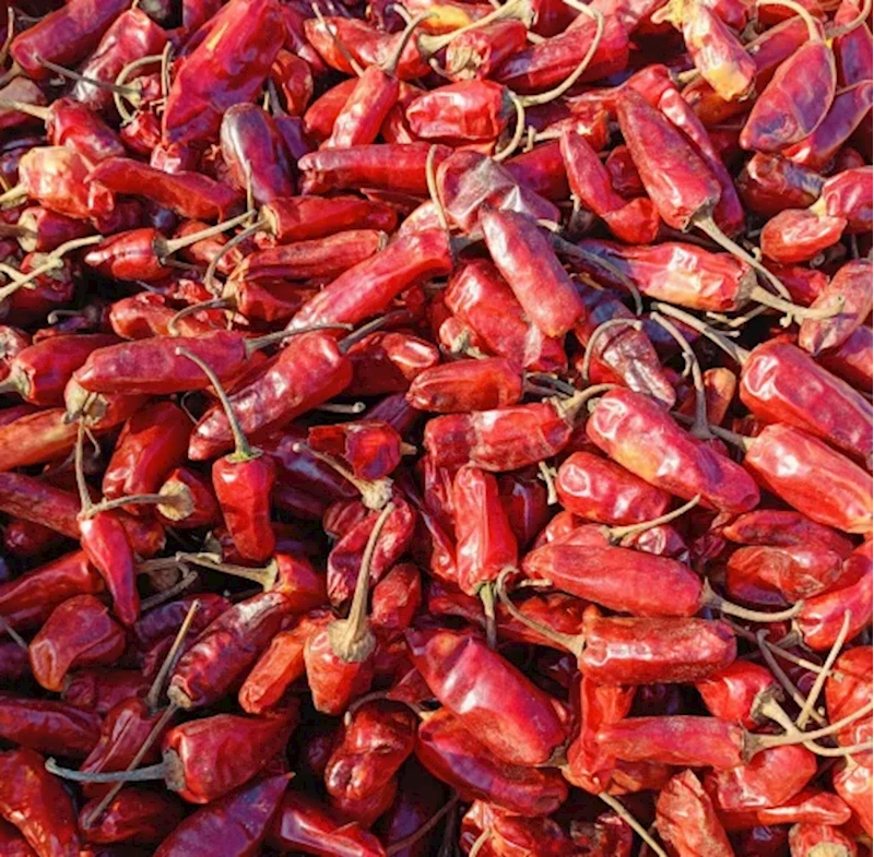 Bullet Red Chilli - 500 g