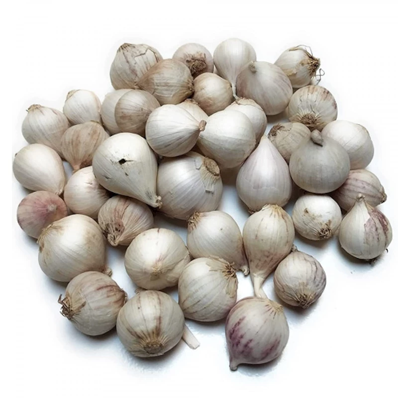 Single Clove Garlic - 500 g
